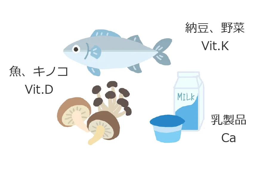 カルシウム、ビタミンD、ビタミンKを多くふくむ食材